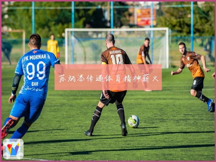 苏炳添传递体育精神薪火