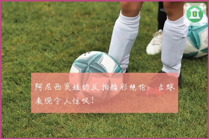 阿尼西莫娃的反拍精彩绝伦，击球表现令人惊叹！